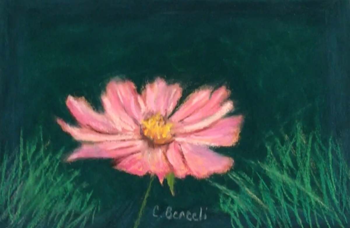 Pink Flower by Cindy Berceli 