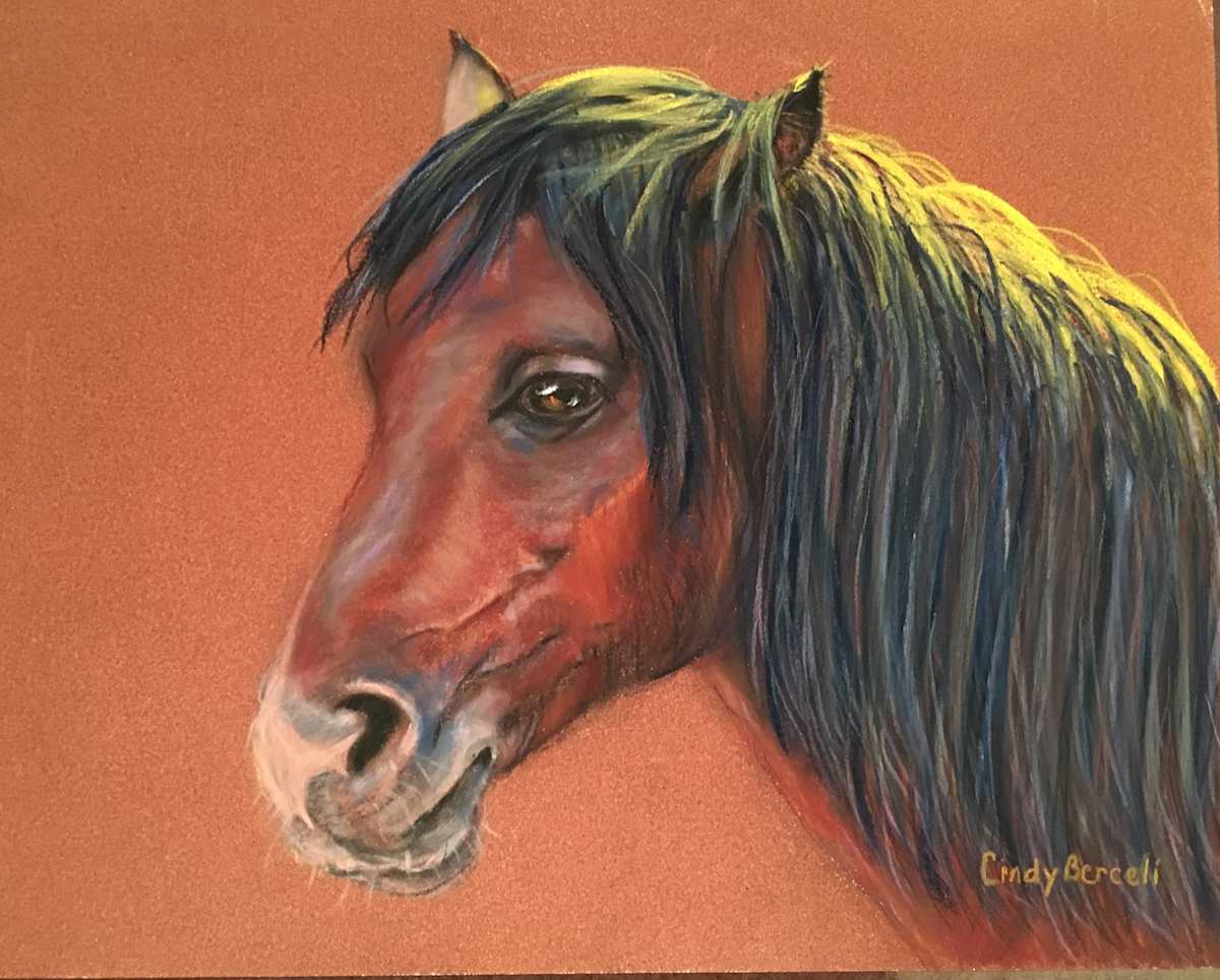 Icelandic  Pony by Cindy Berceli 
