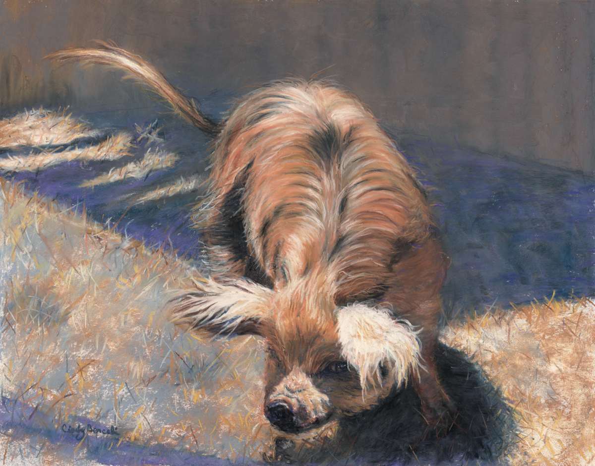 *Kune Kune Pig by Cindy Berceli 