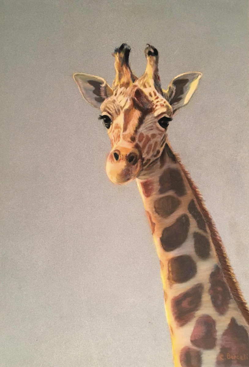 Big Hearted Giraffe by Cindy Berceli 