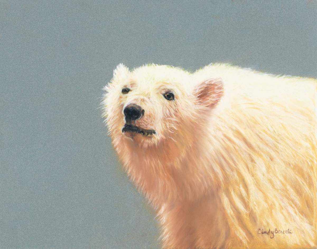 *Polar Plummet by Cindy Berceli 