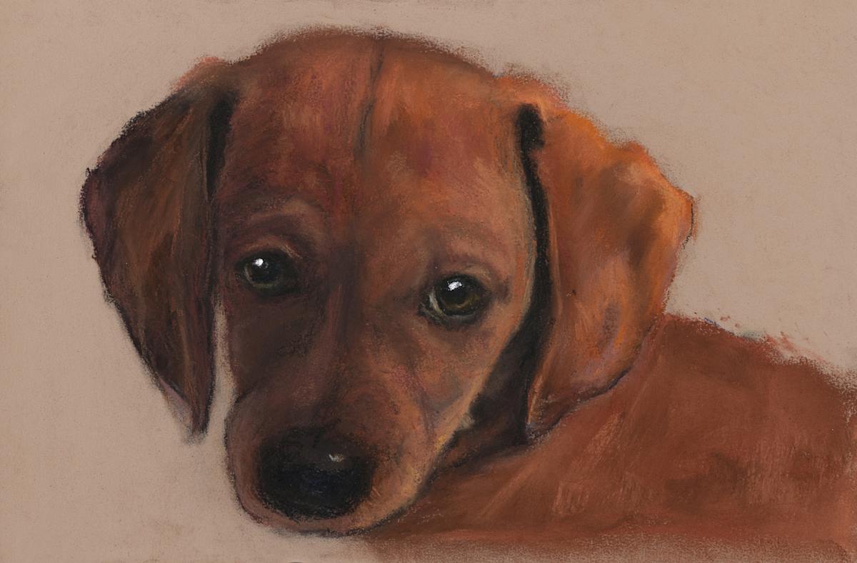 Sassy Sam by Cindy Berceli, Image 1.