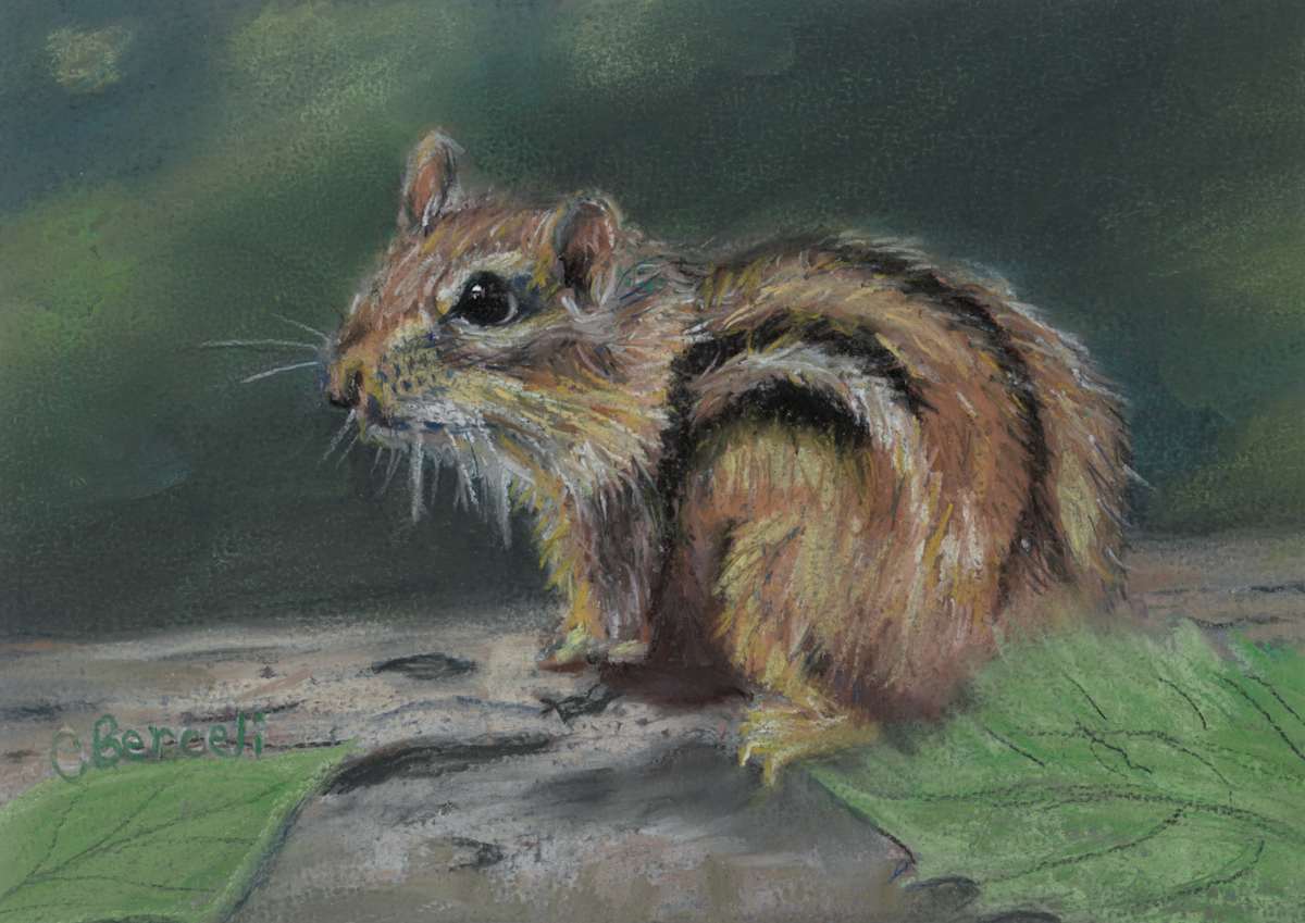 *Chipmunk by Cindy Berceli 