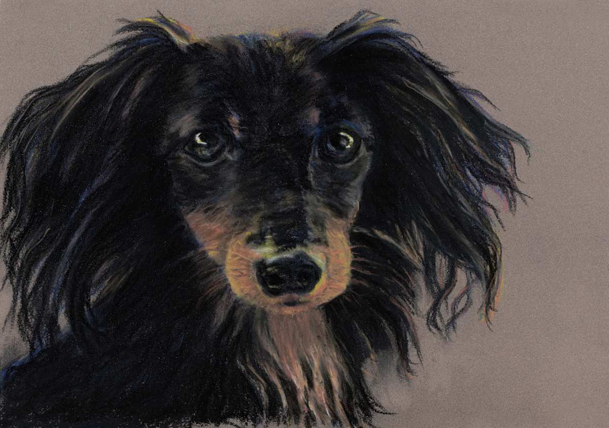 Toto by Cindy Berceli 