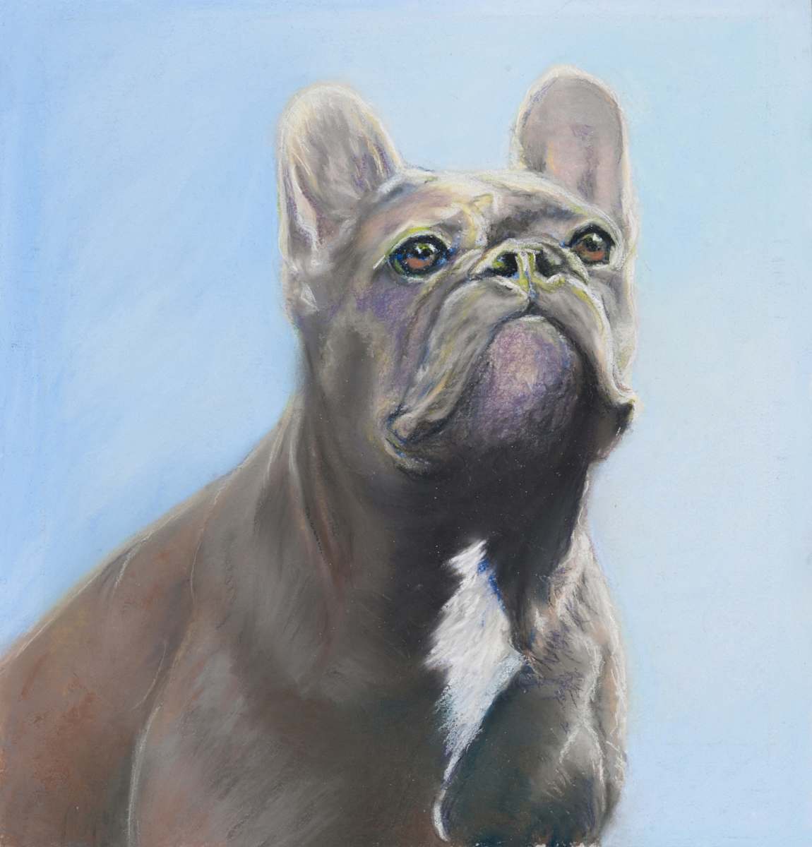 Winston by Cindy Berceli 