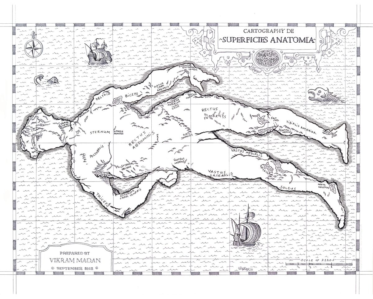 A Map of Surface Anatomy by Vikram Madan 