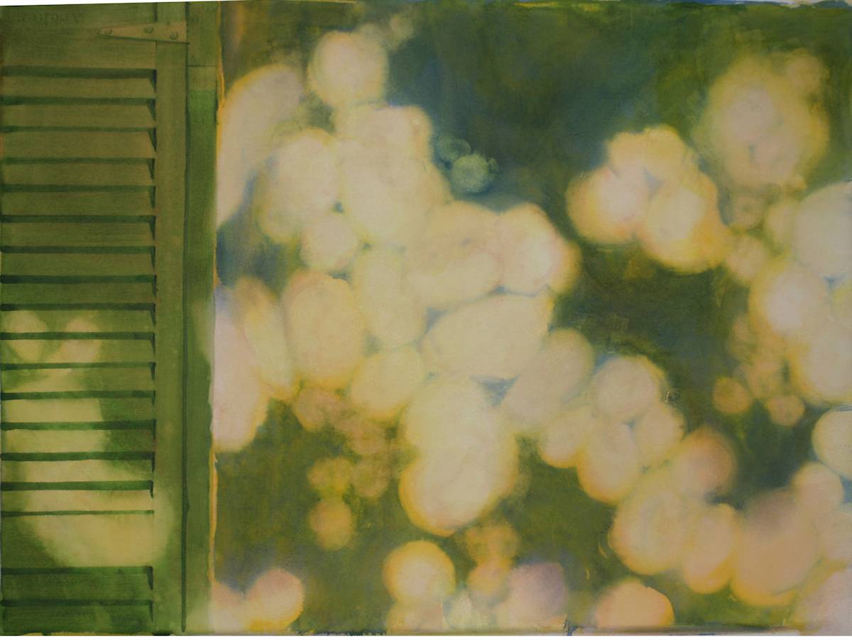 Dappled Shutter Shade by Karen Phillips~Curran, Image 1.