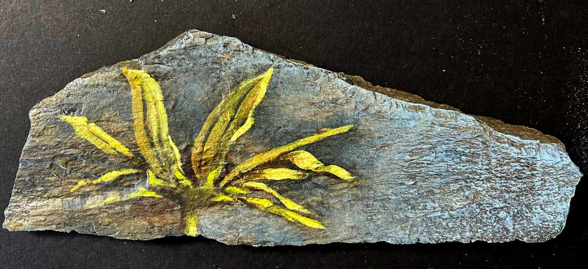 Echinacea Last Light by Karen Phillips~Curran 