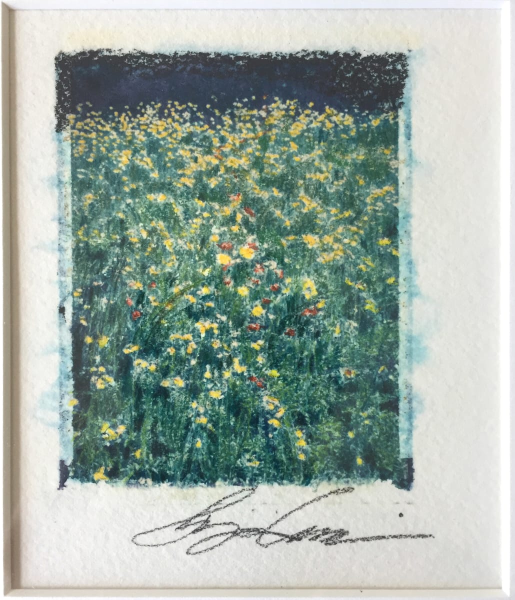 Field Flowers, Image 1.