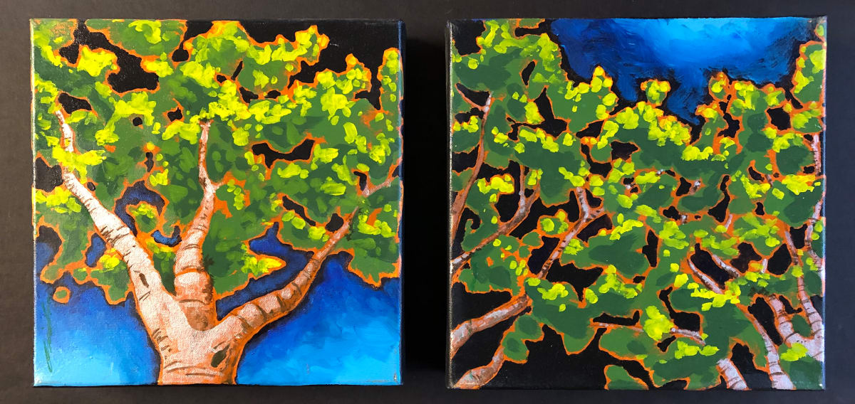 Birch Dark by Karen Phillips~Curran  Image: Birch Dark is a nocturne of a beautiful old birch 