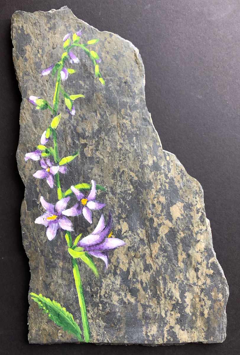 Wild Bluebells by Karen Phillips~Curran, Image 1.