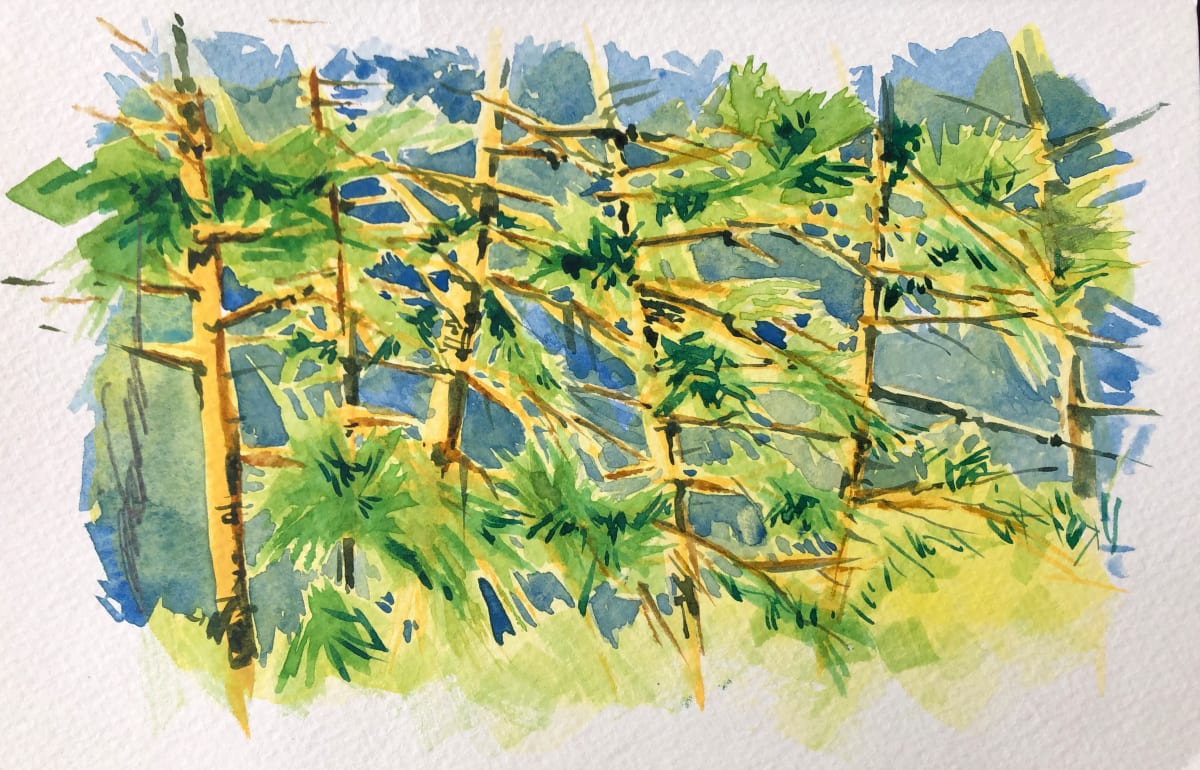 In_the_Pines_ by Karen Phillips~Curran, Image 3.
