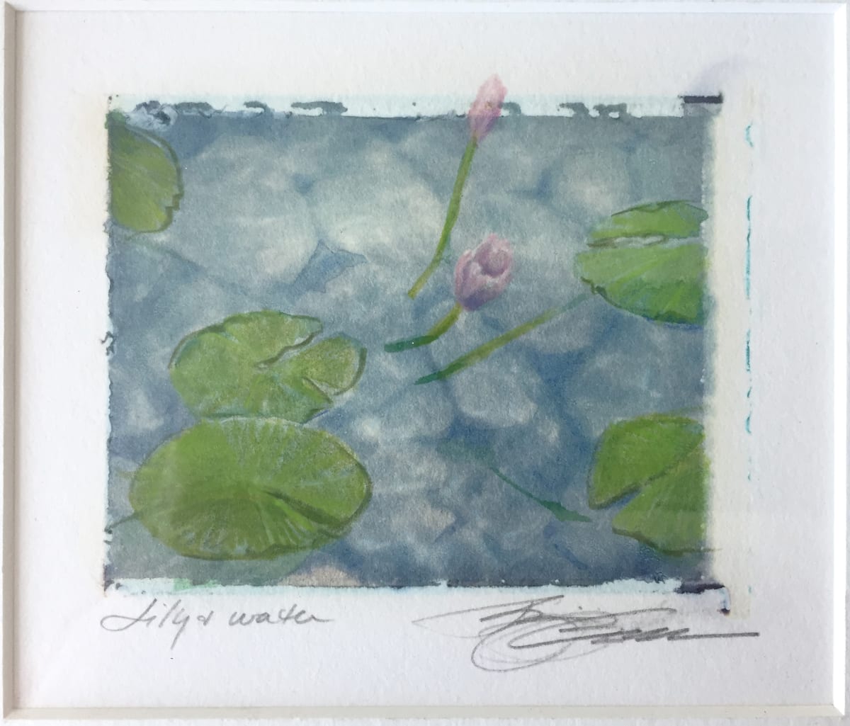 Lily and Water by Karen Phillips~Curran  Image: Lily and Water