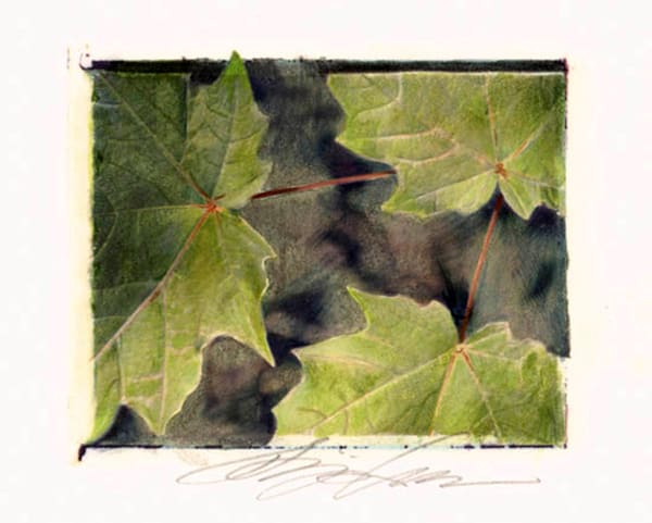 Three Maple Leaves by Karen Phillips~Curran, Image 1.