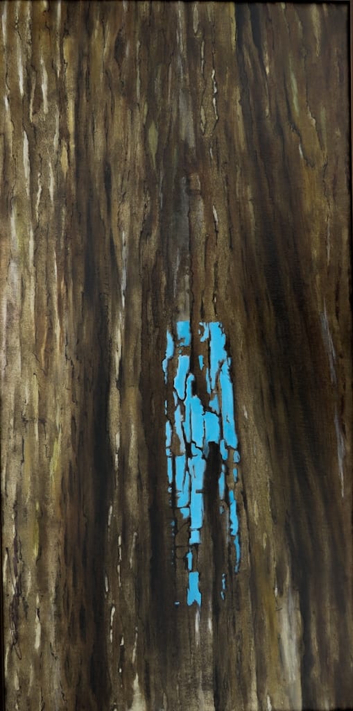 Brown Creeper by Karen Phillips~Curran  Image: Brown Creeper