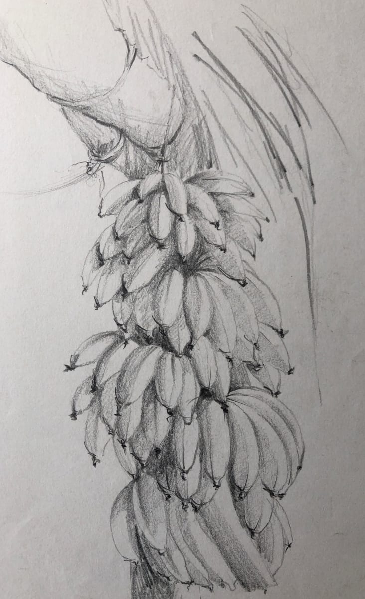 fresh_bananas by Karen Phillips~Curran 