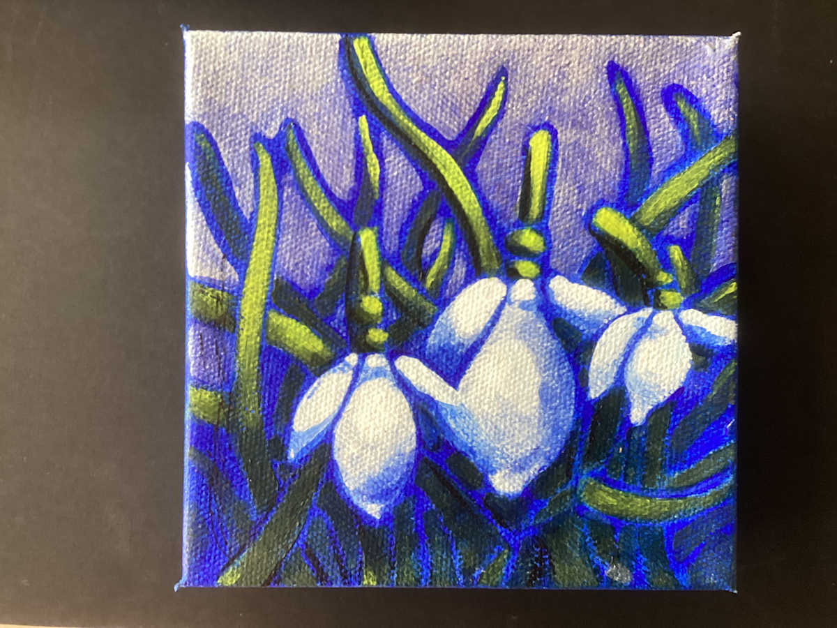 Misty morning snowdrops by Karen Phillips~Curran 
