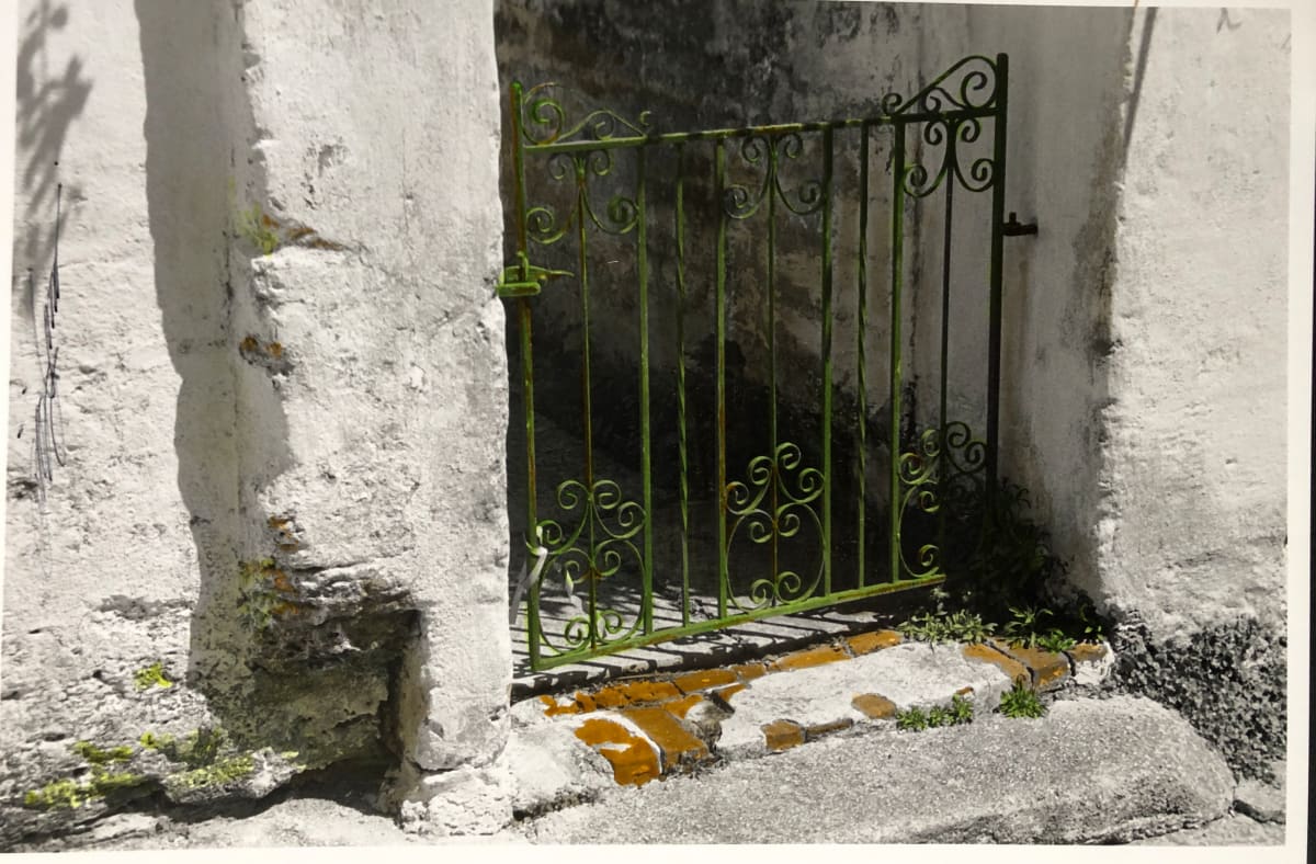 Old Green Gate by Karen Phillips~Curran  Image: Old Green Gate