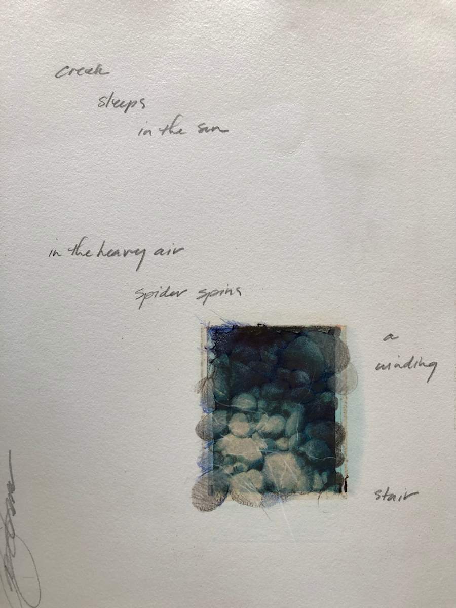 the_creek by Karen Phillips~Curran, Image 13.