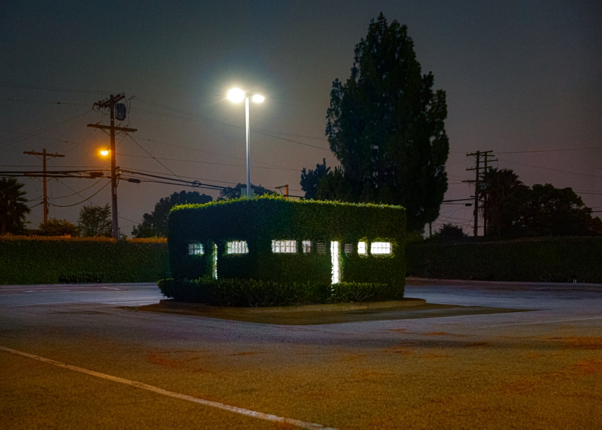 Bush by T. Chick McClure 