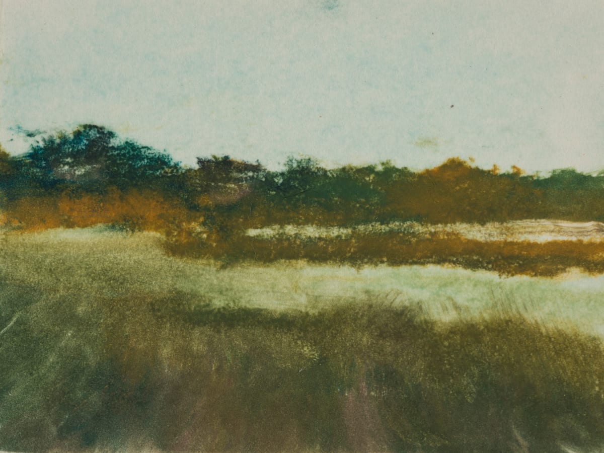 June Marshes by Marie Cole 