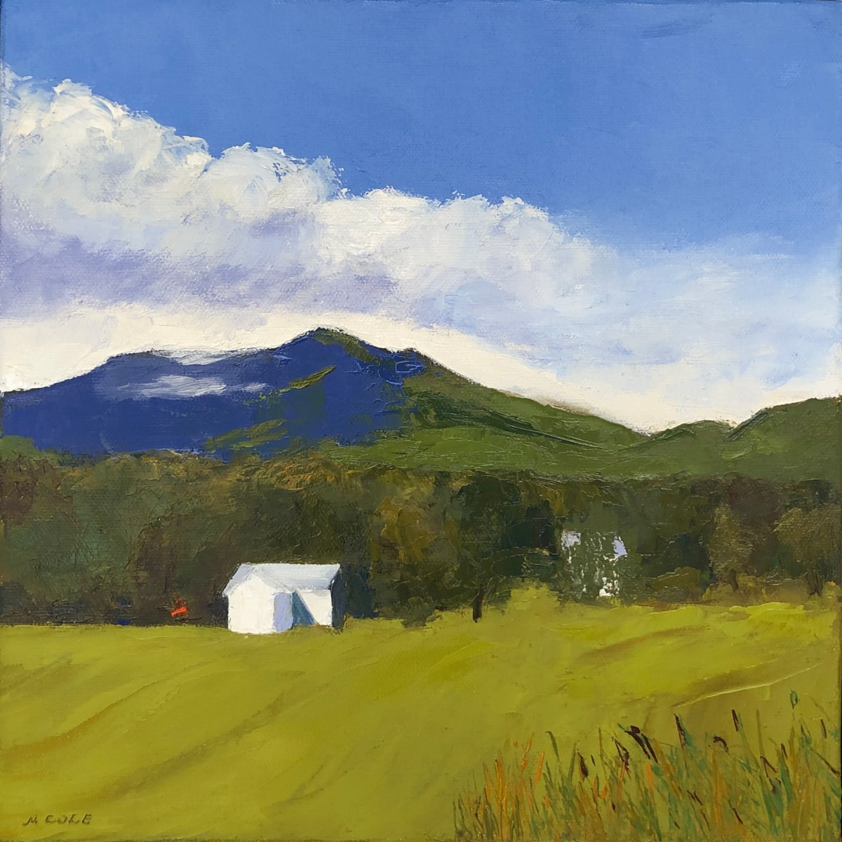Low Clouds by Marie Cole, Image 2.