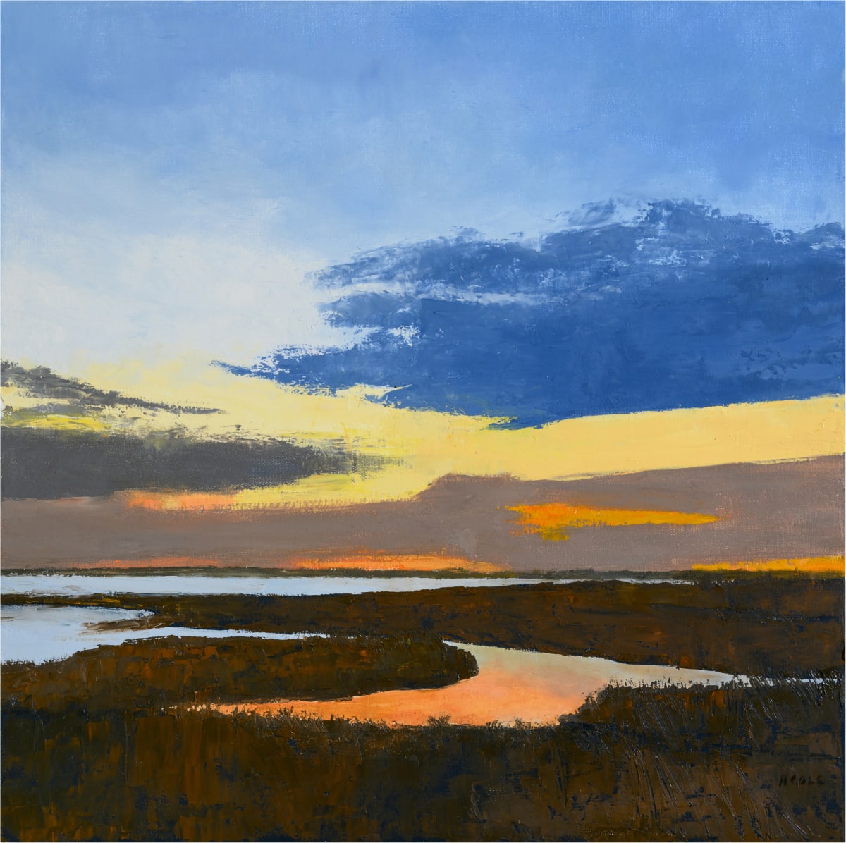 Storm Clouds Over the Marshes by Marie Cole 