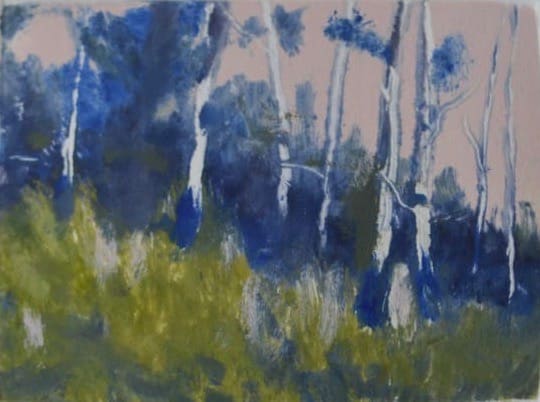 Birches by Marie Cole 