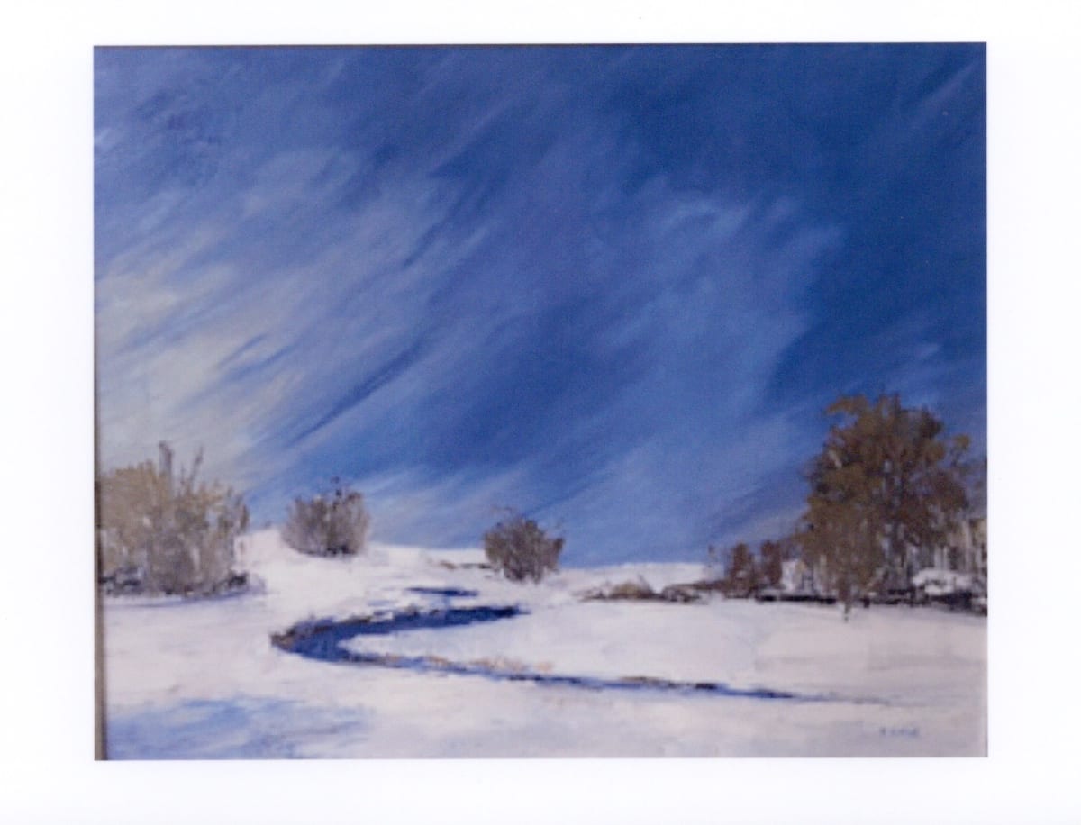 Snow Squall by Marie Cole 