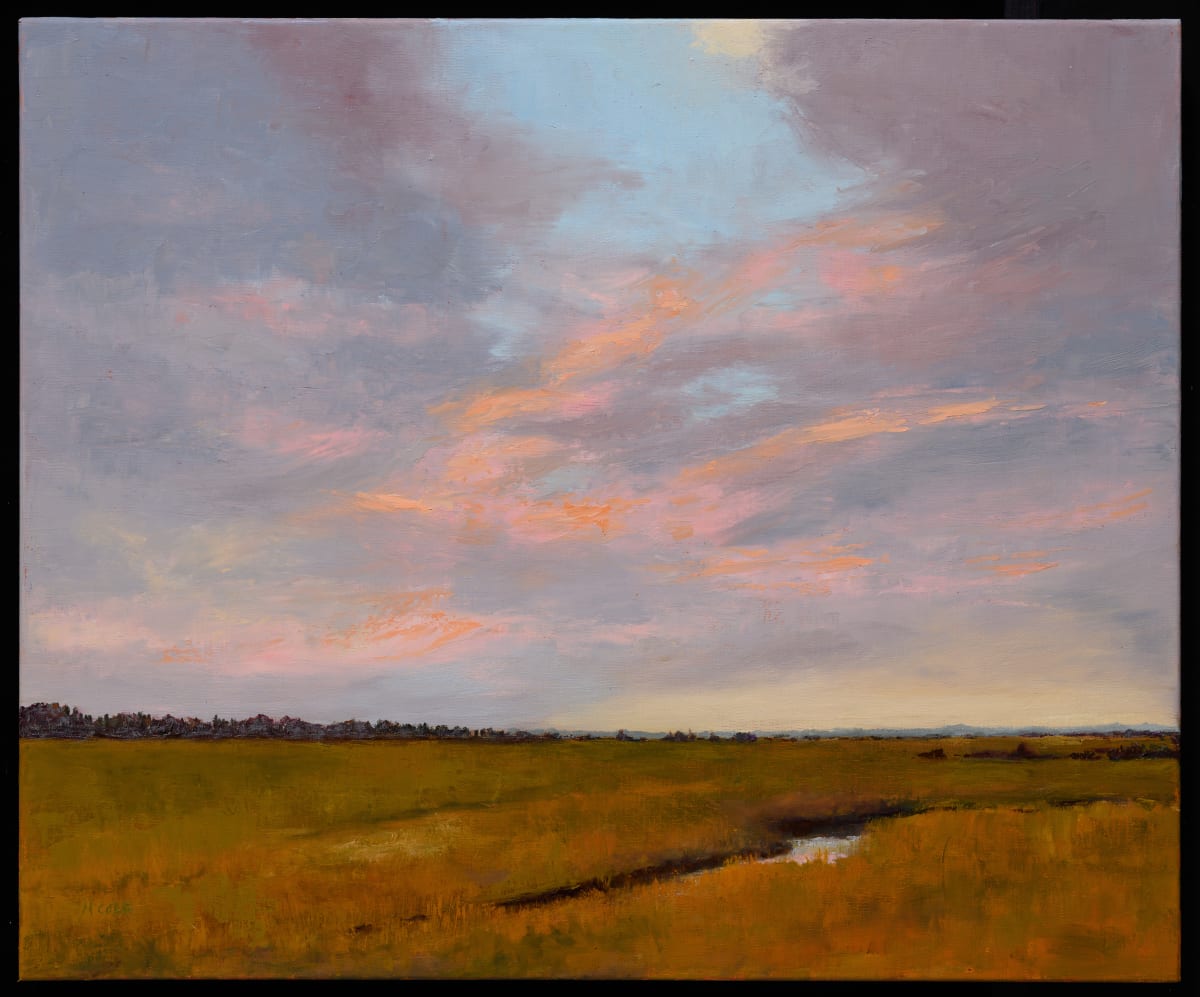 March Salt Marshes  Image: Photo by Andy Wainwright