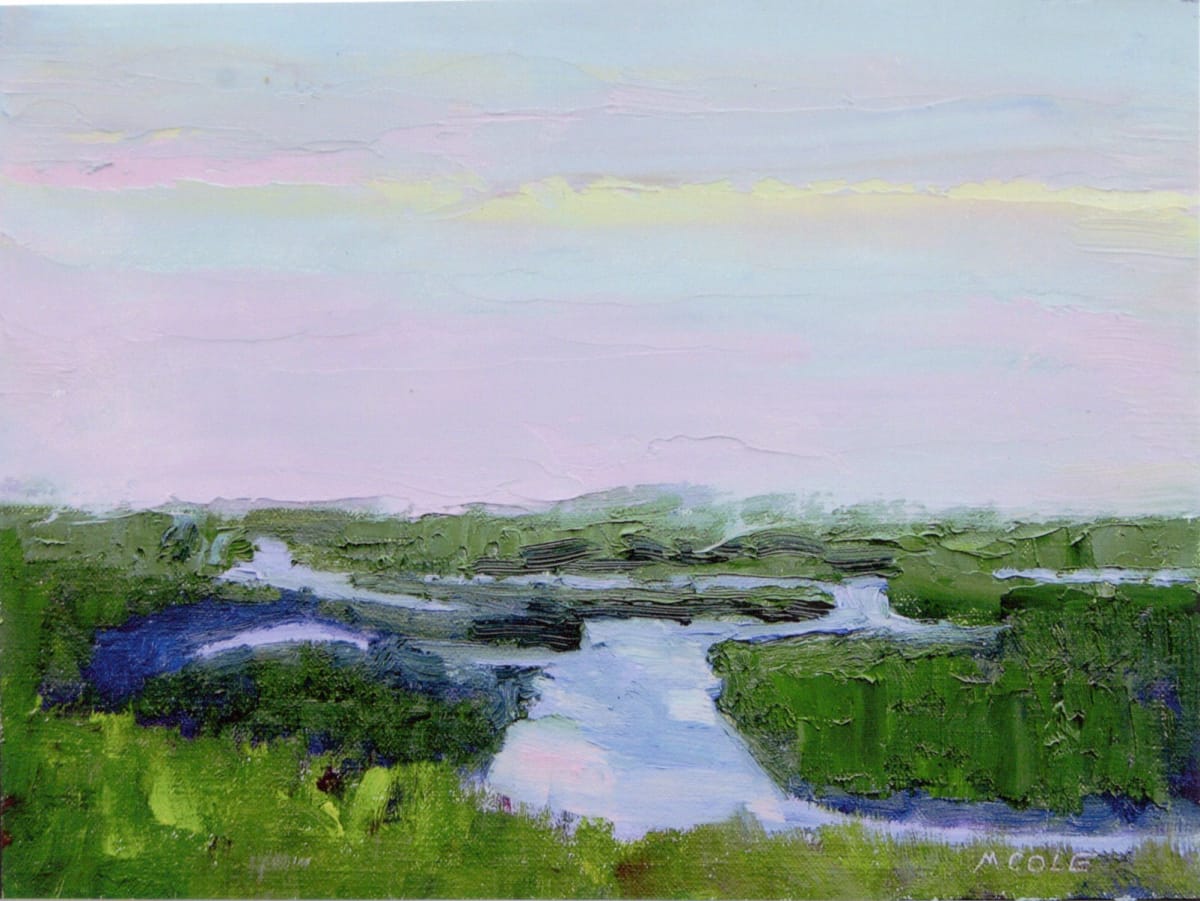 Salt Marshes I by Marie Cole 