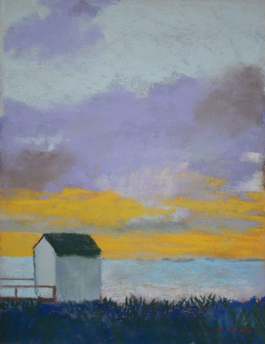 Shed in the Marshes 