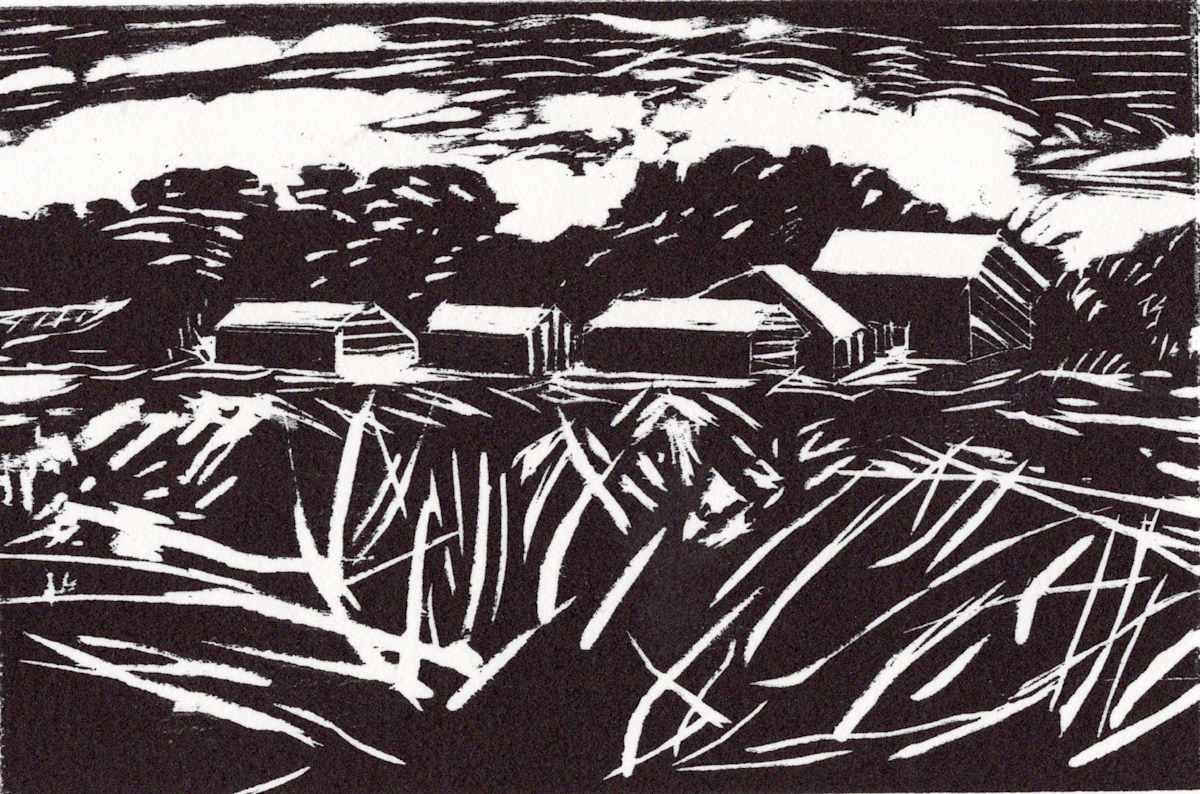 Barns in the Cornfield 1 by Marie Cole