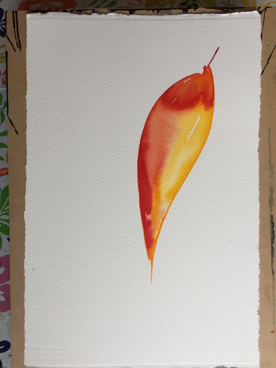 Single red and yellow leaf by Kirsten Johnston 