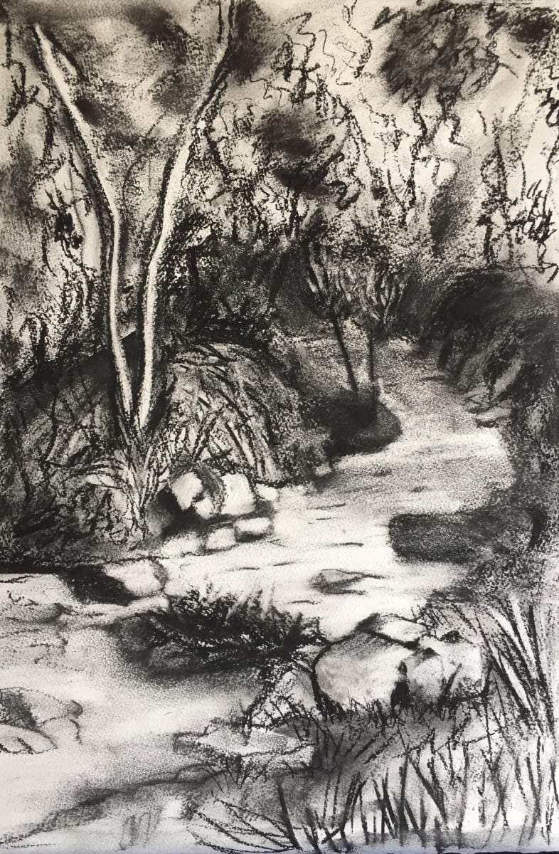 Creek behind Halls Gap, Victoria 