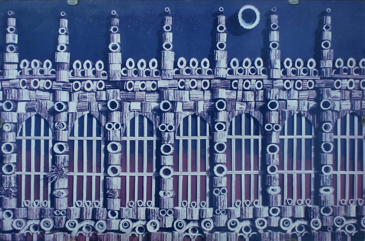 Hogweed collage photographs by David Keate 