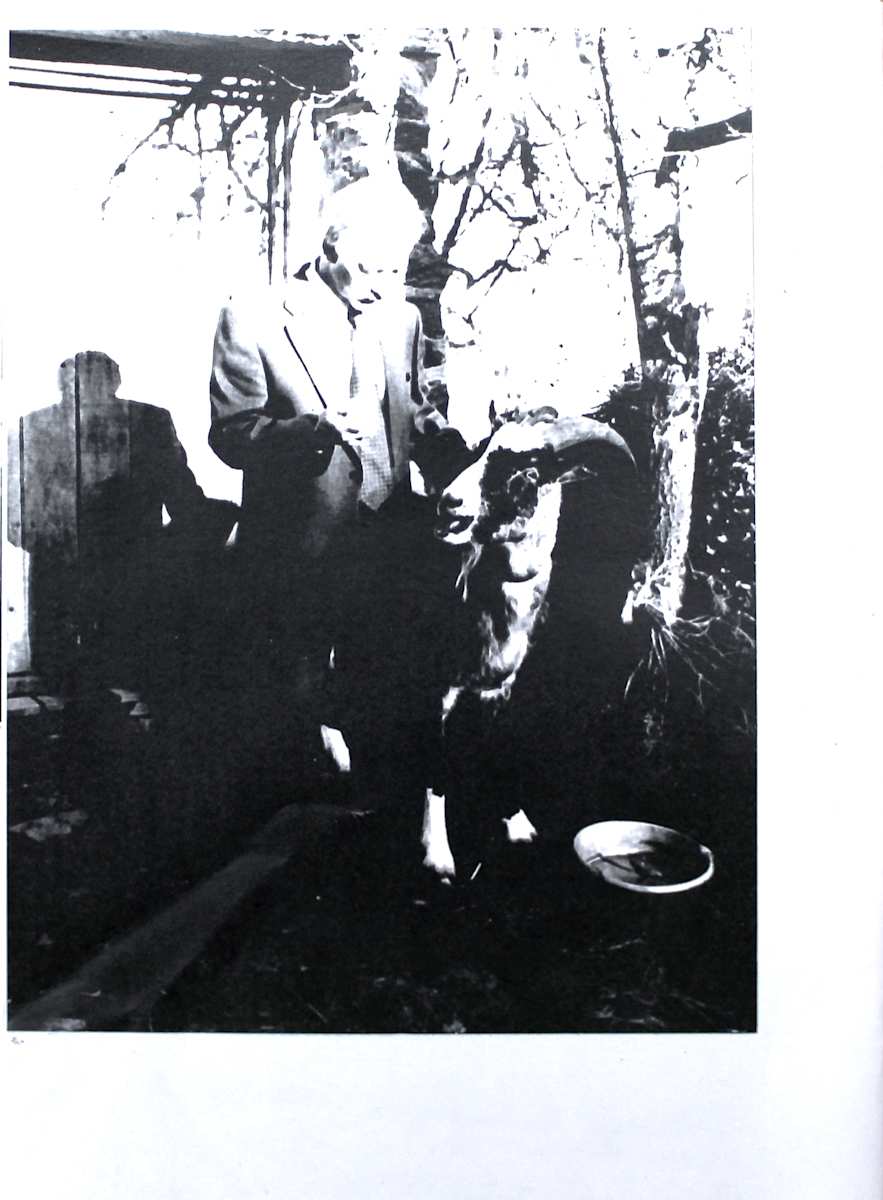 Marcos & Horse - Grayhill by Daisy Goodchild 