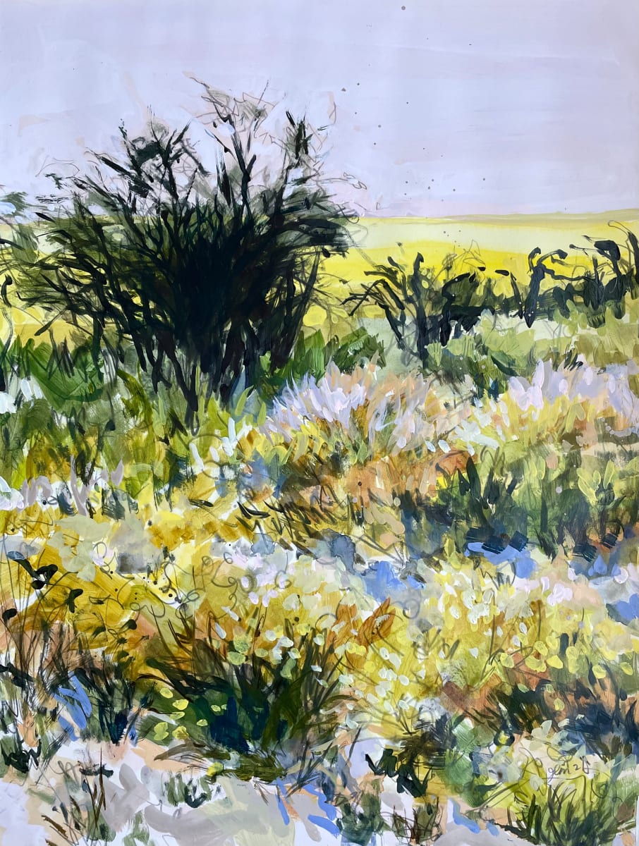 Canola Approach by Jennifer L Mohr 