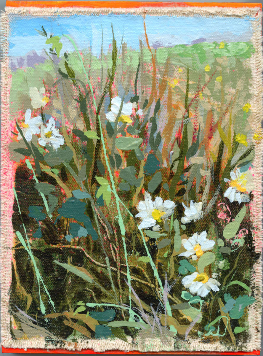 Daisy I by Jennifer L Mohr, Image 1.