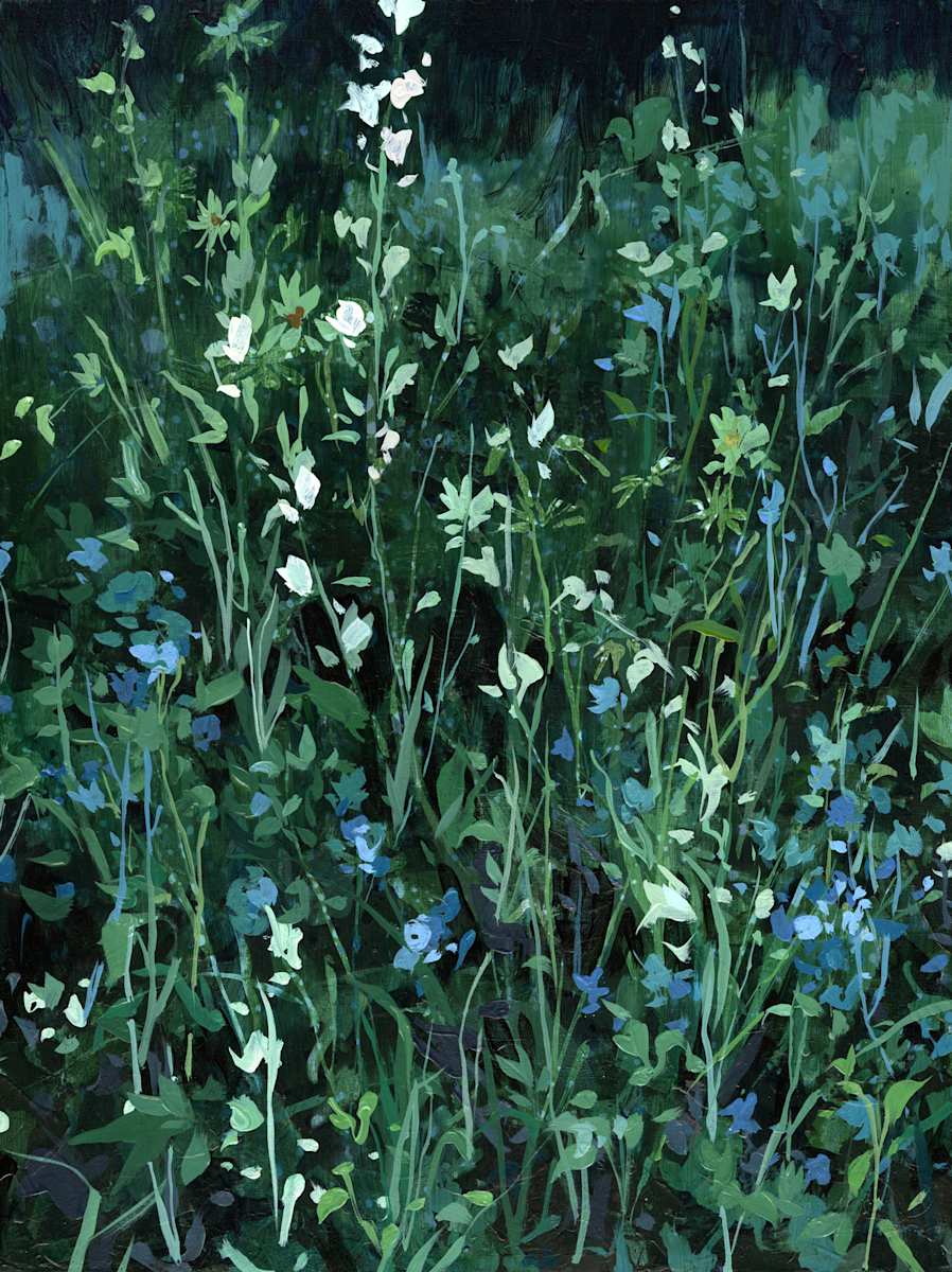 Dew Damp by Jennifer L Mohr, Image 1.