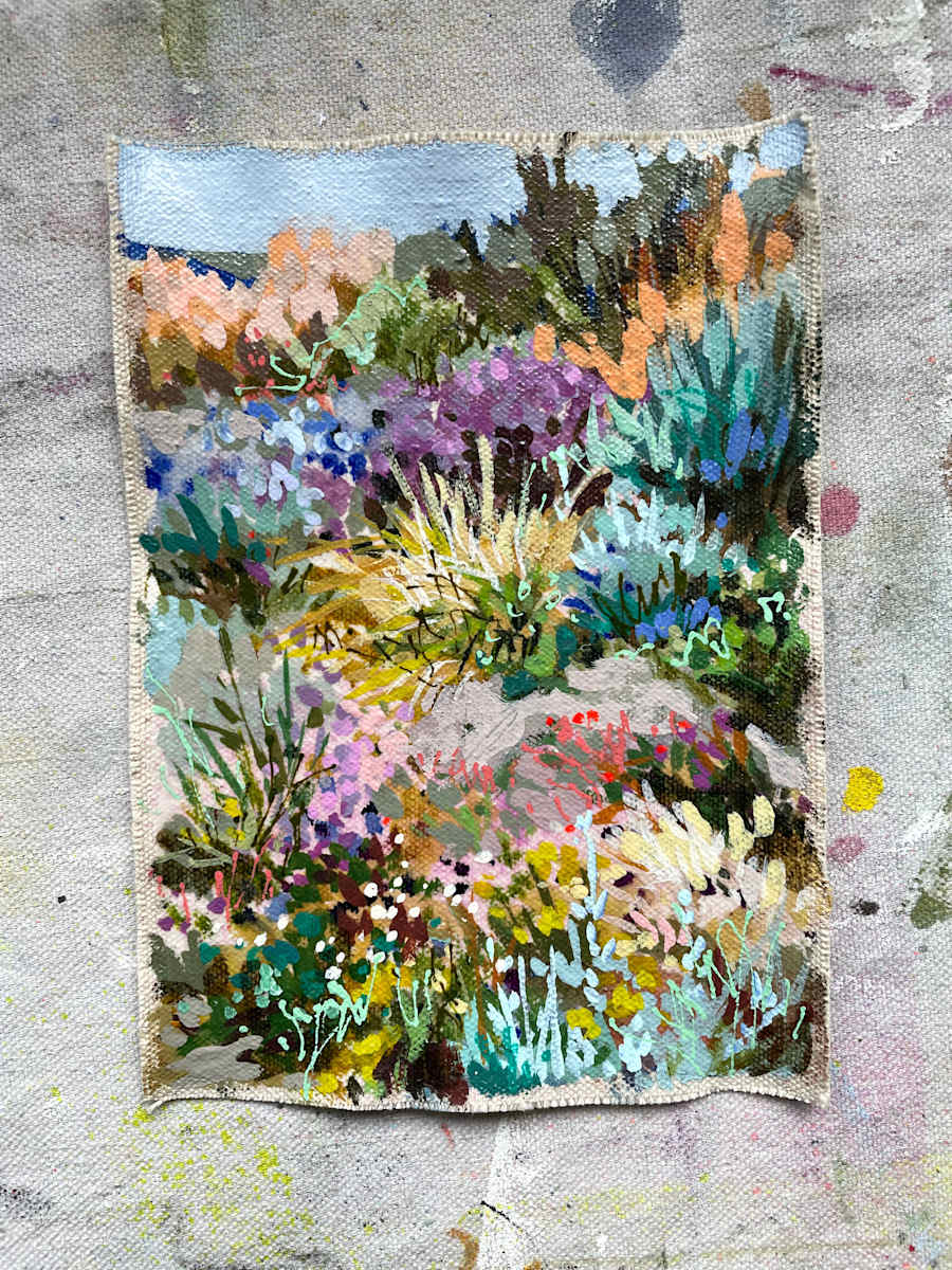 February 2022 Small C, Image 5.