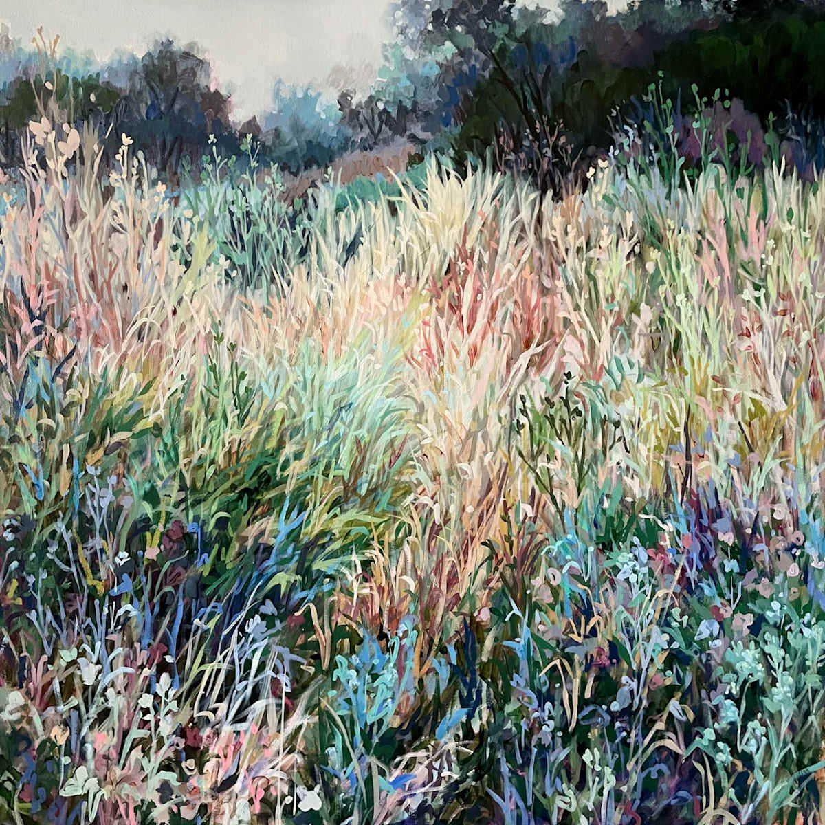 Hide And Seek by Jennifer L Mohr 