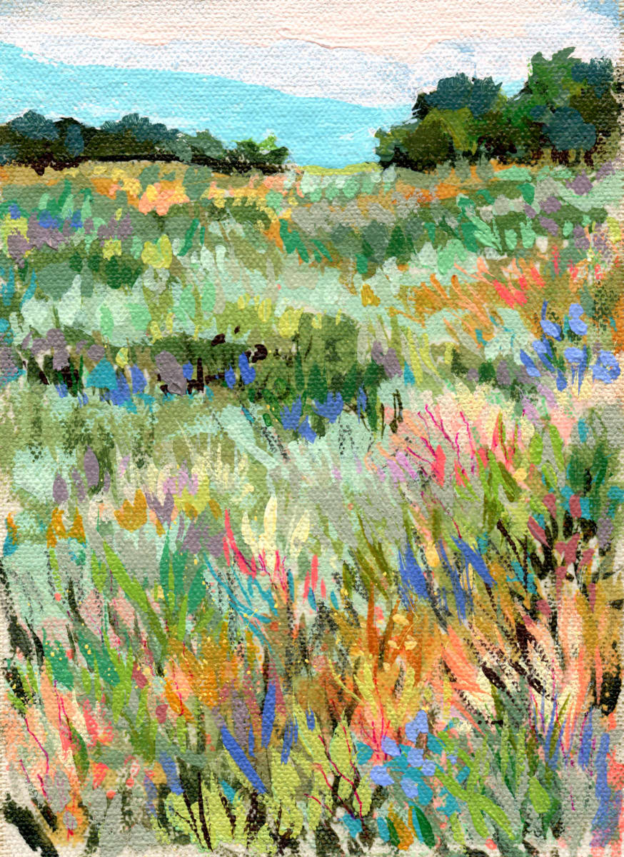 Belonging D - Unstretched 