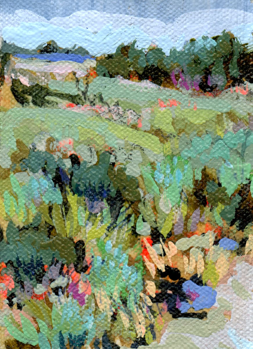 Mini Q - Unstretched 