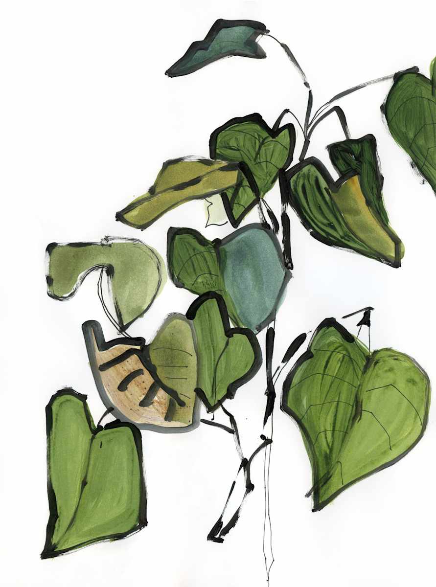 Leafy 1 by Jennifer L Mohr 