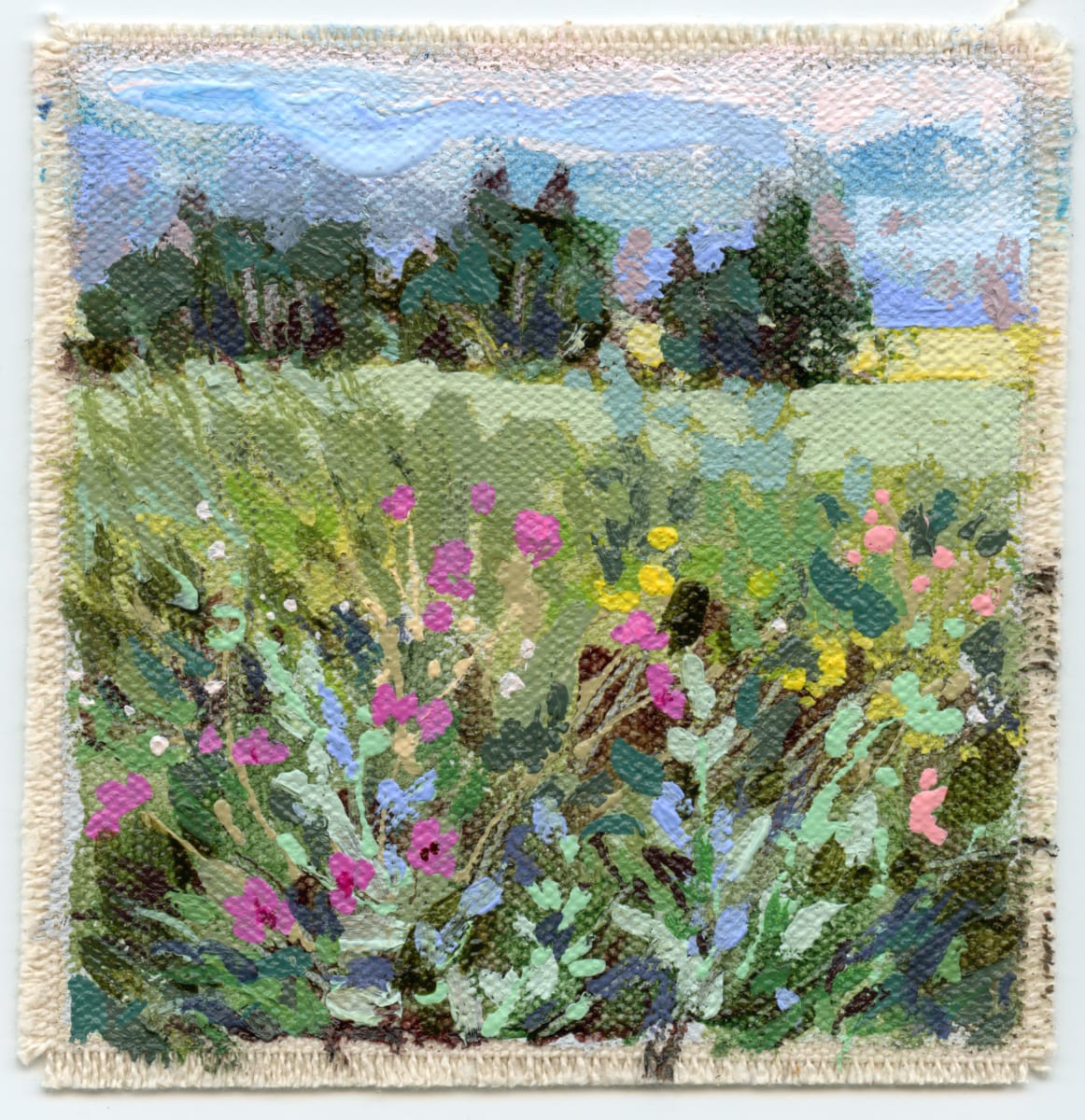 Meadow Mini A - November 2022 