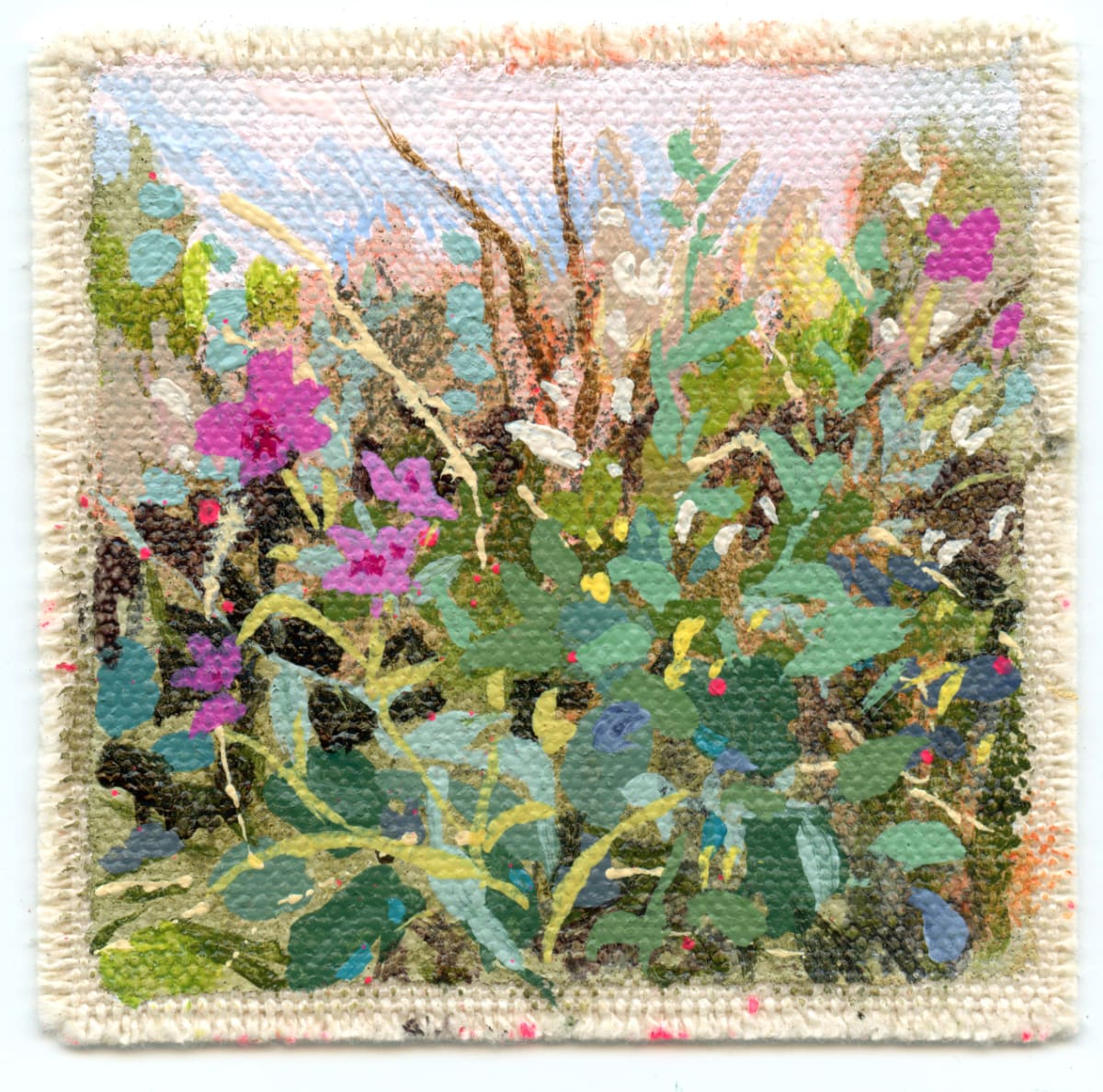 Meadow Mini F - November 2022 