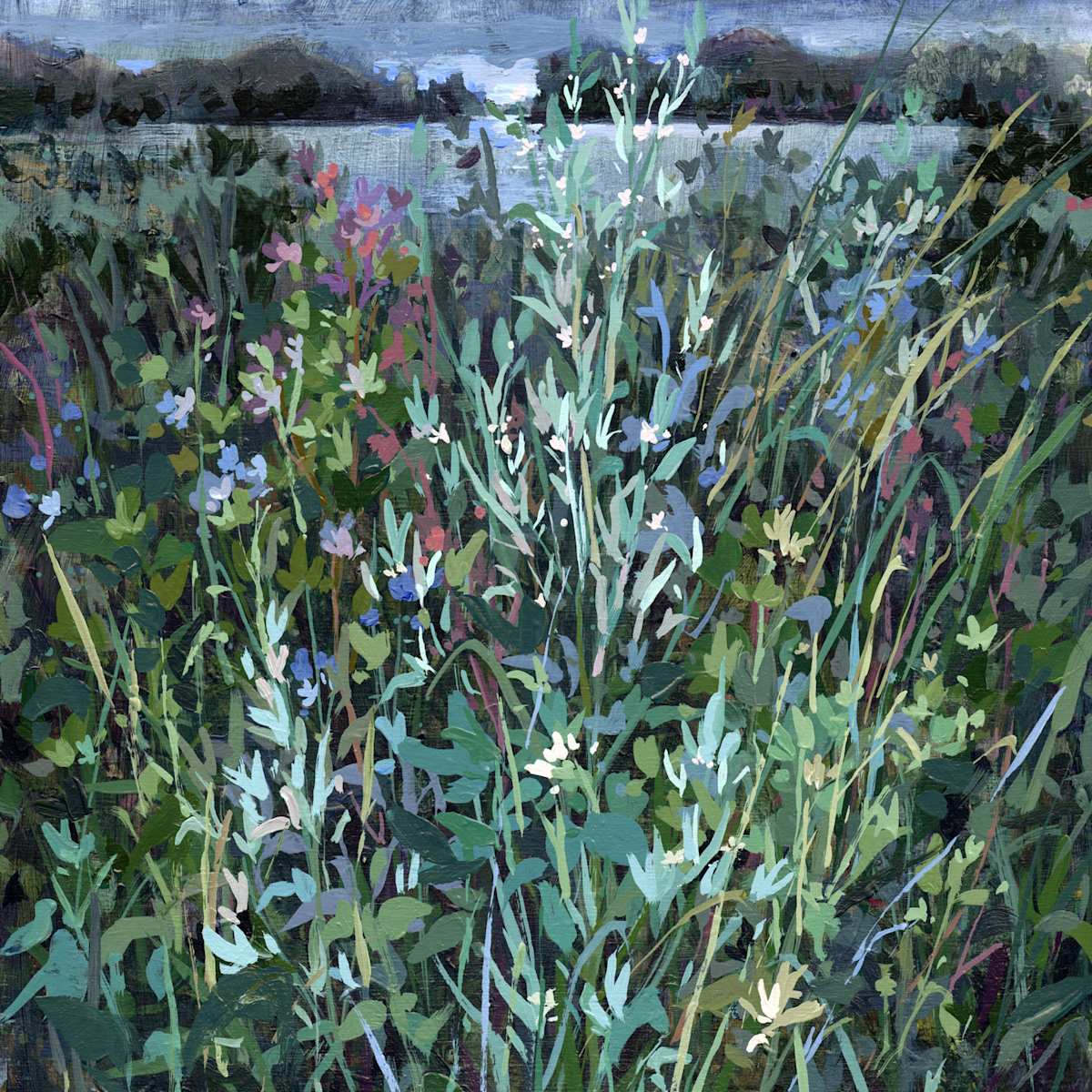 Predawn Lakeside by Jennifer L Mohr 