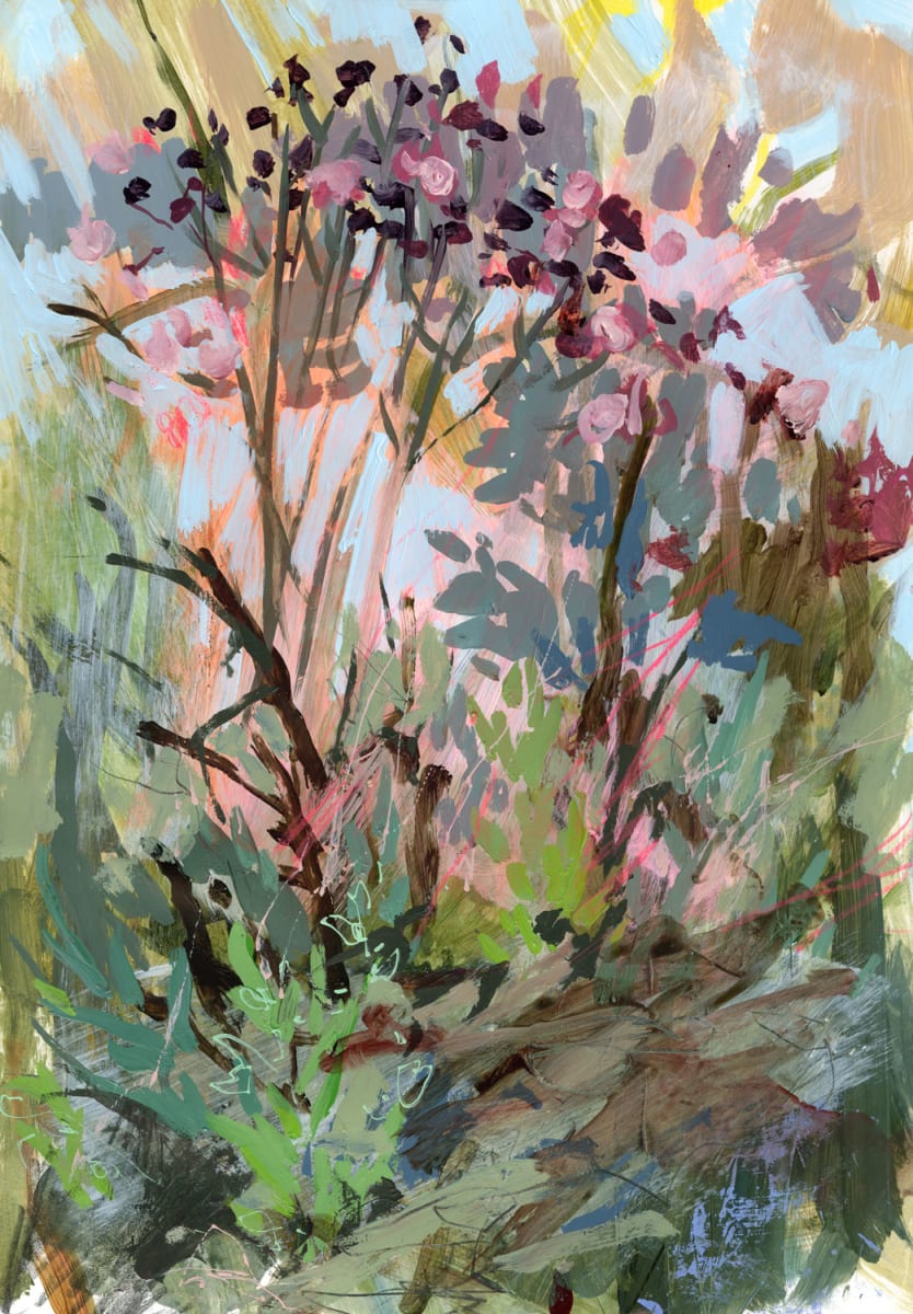 Primrose Moment by Jennifer L Mohr 