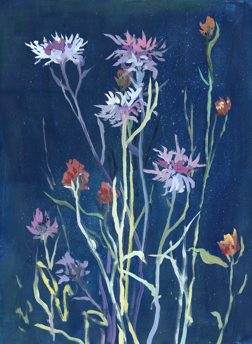 Wake Me Up by Jennifer L Mohr, Image 1.